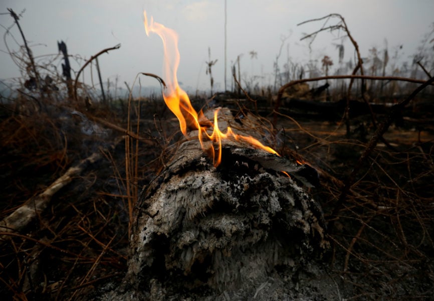 A tract of Amazon jungle after a fire in Brazil. REUTERS.
