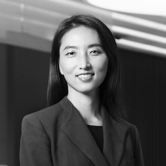 Eurasia Group's Dan Wang