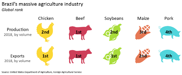 Brazil's massive agriculture industry